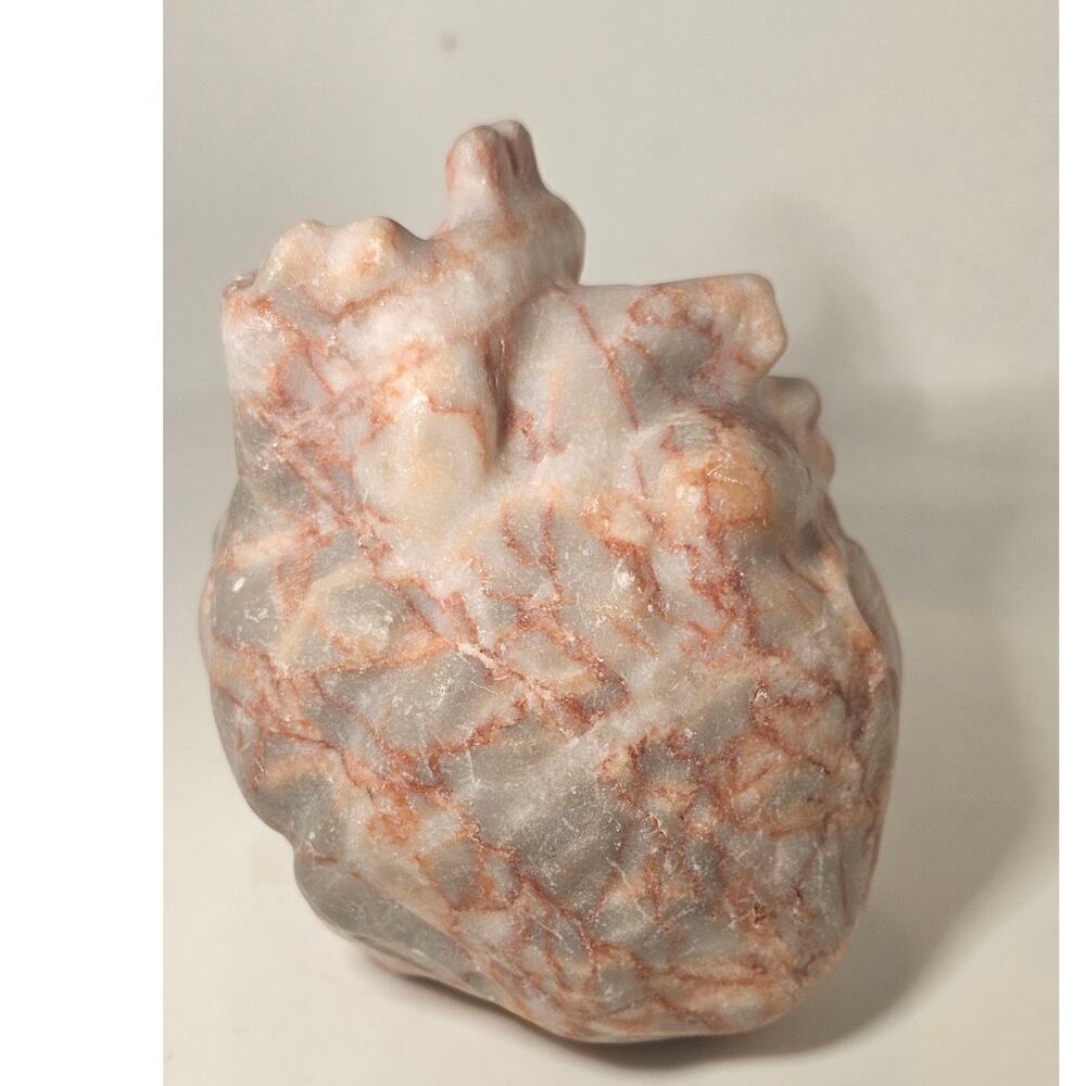 Large Red Vein Jasper Anatomical Heart Carving / 12.1oz / 3.2in